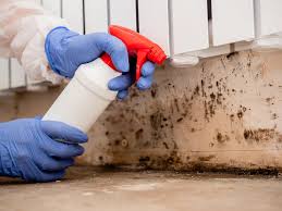 Trusted Calhoun, GA Mold Removal & Remediation Experts